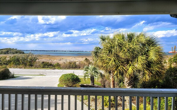 Front porch overlooking palm tree garden and waterfront views of Bogue Sound.