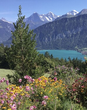 Terrain de l’hébergement 