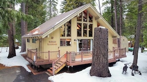 Another snowy day in paradise – Pinecone Cottage in winter mode.