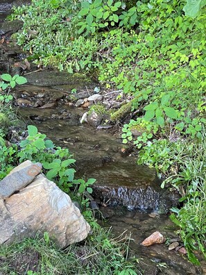 Creek - Small creek running through the property