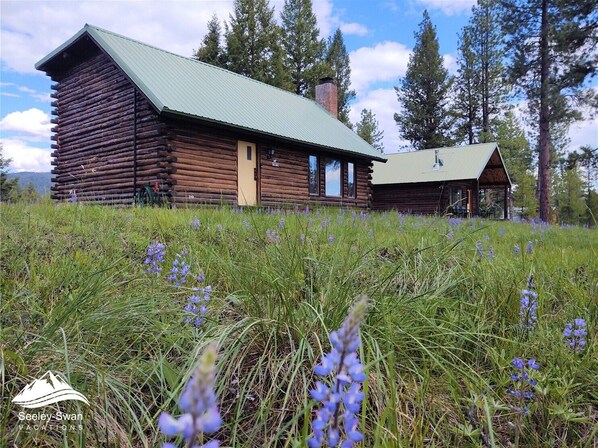 Talcott's Cabin & Dacha