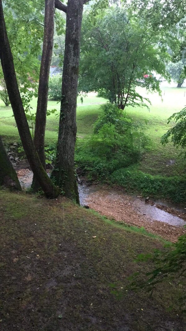 Overnatningsstedets område