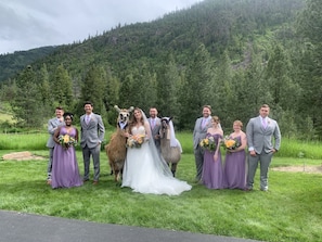 Wedding photo of the kids