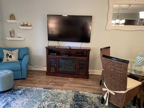 TV in Living Room