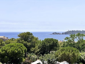 Vue sur la plage/l’océan