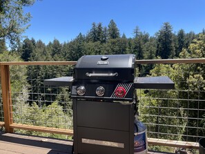 brand new gas BBQ