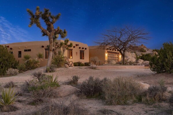 Desert Night Views