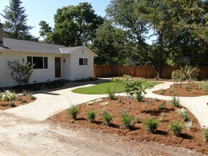 Front Yard