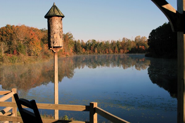 Pond view from wrap around porch.