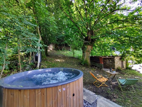 Plant, Property, Plant Community, Nature, Natural Landscape, Tree, Wood, Shade, Grass, Chair