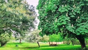 Parco della struttura