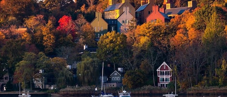 View Cold Spring Harbor in the Fall