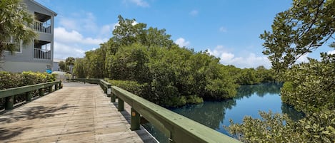 Parco della struttura