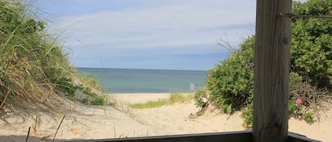 view from back porch