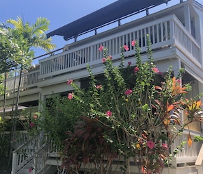 Flowers abound year round in Kona.