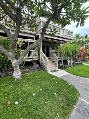 Fragrant plumerias line our pathways. 
