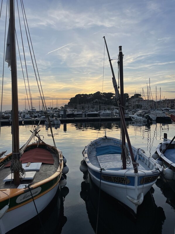 Marina