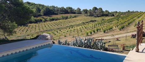 vue sur la piscine et les grenadiers
