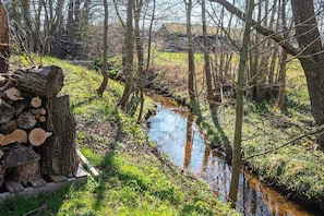 Vue sur l'eau