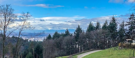 Blick auf Freiburg und die Vogesen