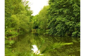 Terrain de l’hébergement 