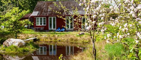 towards the pond