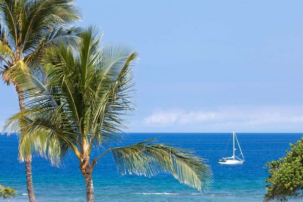 More ocean views