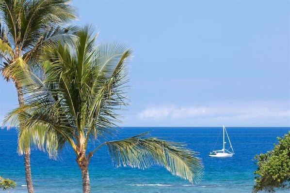 More ocean views
