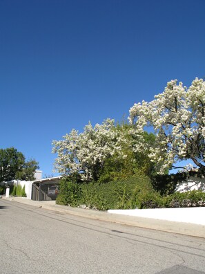 STREET