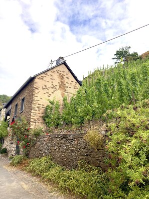 Es steht im Weinberg der Goldberg heißt. Daher der Name Goldstück....