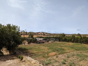 vue sur les dunes