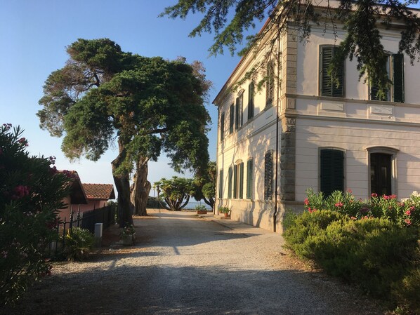 Exterior