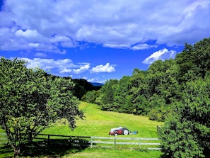 Front pasture in early summer.