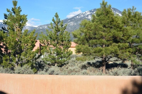 View of Taos Mountain