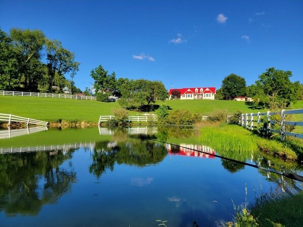 View of house from pond