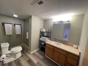 Lower Level Bath