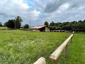 Terrain à disposition 