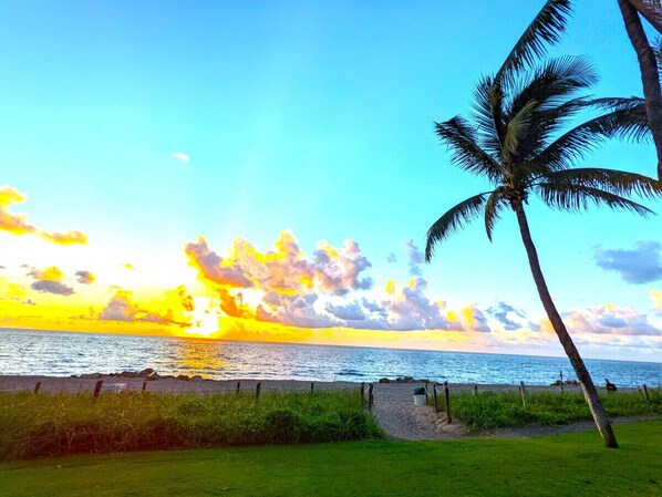 Enjoy Instagram-worthy, unforgettable sunrises & sunsets framed by palm trees on the beach within walking distance away from your stay. Paradise awaits your stay in our beautiful luxury apartments in Deerfield Beach in Florida.