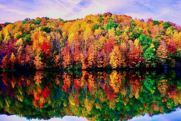 Nothing more beautiful than Fall foliage