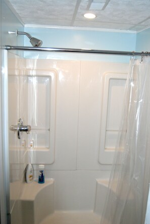 Walk in Shower (lower level)