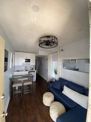 The living area with 42" TV, recessed lights, ceiling fan, and two huge windows