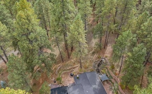 Arial view of the woods