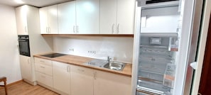 Kaiserblick 5 Zwei-Raum-Appartement mit großer Terrasse-Küche