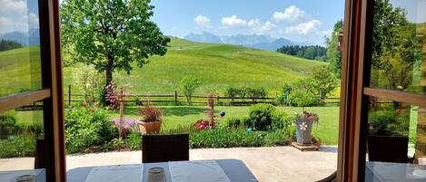 Kaiserblick 5 Zwei-Raum-Appartement mit großer Terrasse-Terassenblick im Gästehaus Kaiserwinkl