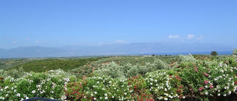 Εξωτερικός χώρος καταλύματος