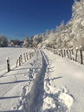 Snow and ski sports