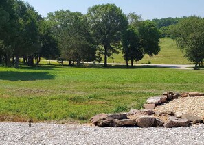View from Unit