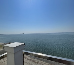 Unobstructed ocean view with Charles Island in the distance