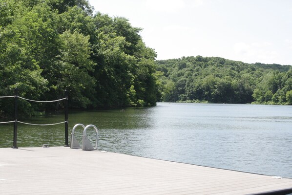 Swim platform at the community dock. Lilly pad included! 
