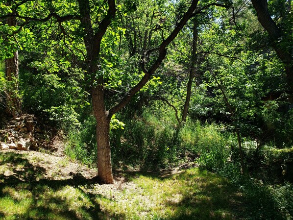 Overnatningsstedets område